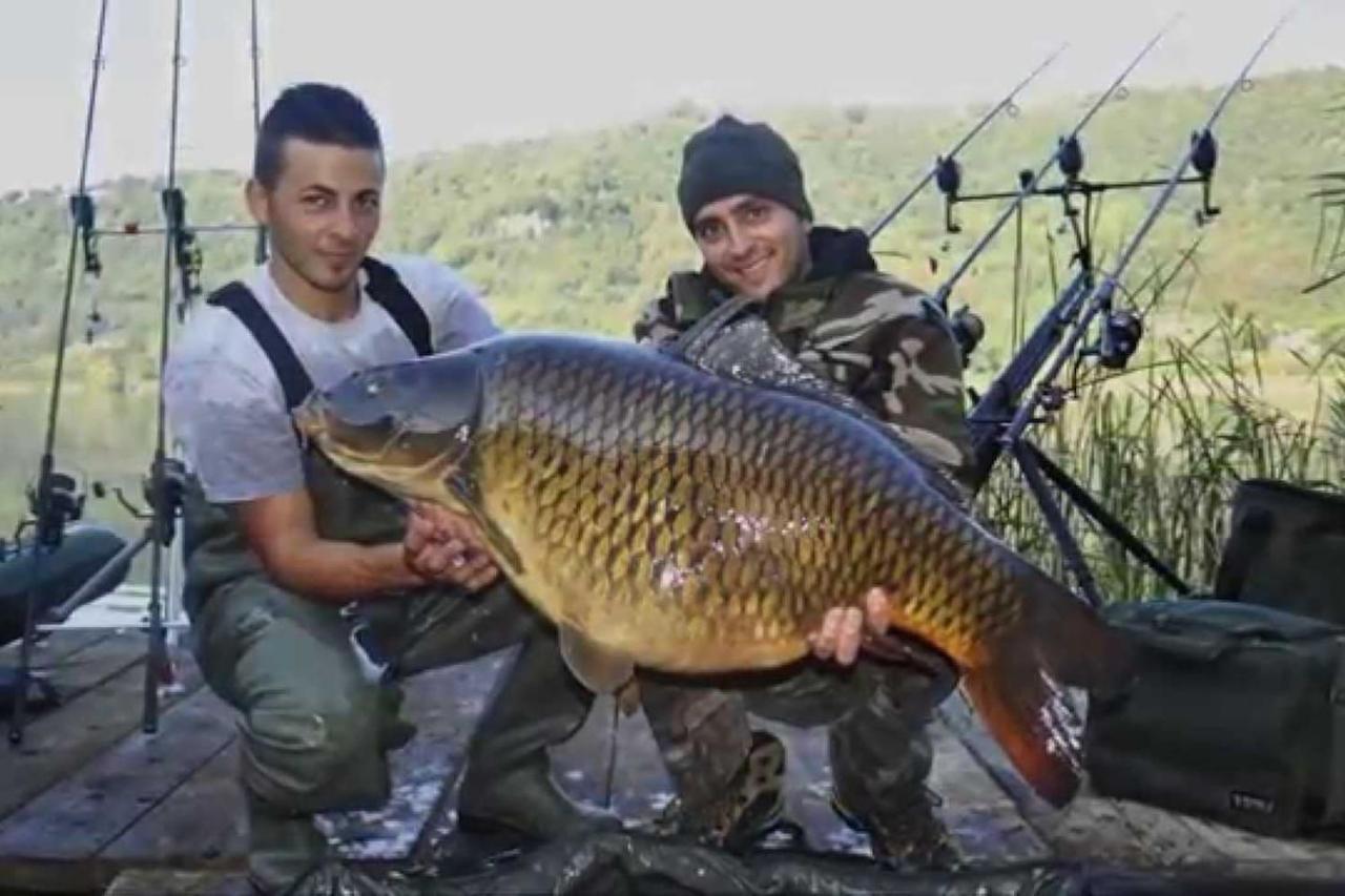 Relax Sul Lago Lejlighed Genzano di Roma Eksteriør billede